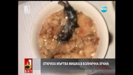 Господари на ефира-19.09.2013