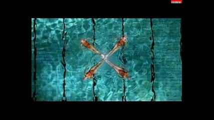 4 Strings - Diving (good Quality) 