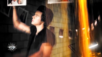 Haylor __ Style