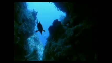 Праисторически животни