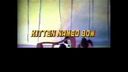 Kitten Named Bow