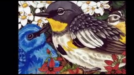 Ева Касиди - Пойни птици (превод)