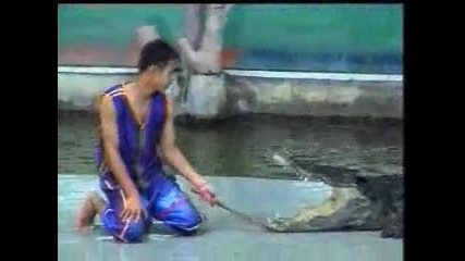 Alligator Trick Gone Wrong