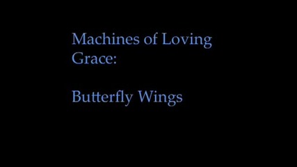 Machines of Loving Grace - Butterfly Wings