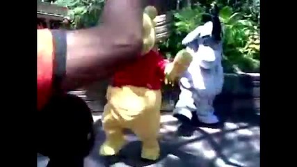 Tigger Got Swag - Cat Daddy At Disneyland