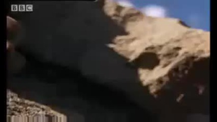Търкалящите се саламандри и гъсеници