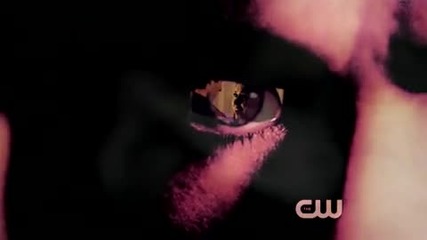 »» Damon & Elena «« Because I love you .. [ ~ ]