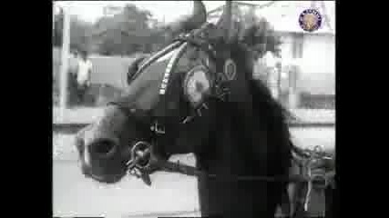 индийски 11
