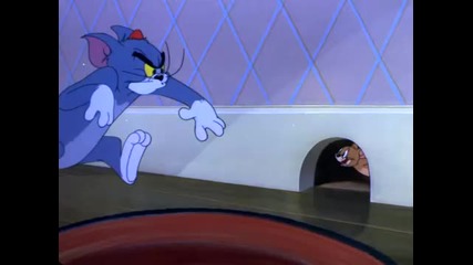 Tom & Jerry - Nit - witty Kitty 