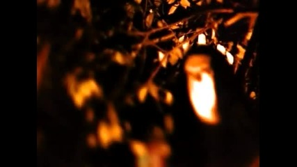 Type O Negative - Love You To Death - Youtube