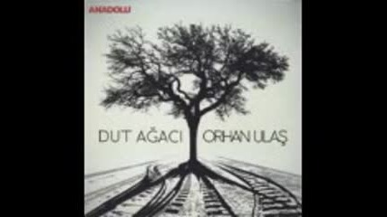 Orhan Ulas - Dut Agaci ( Full album 2013)