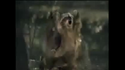 Смешна Реклама с катеричка