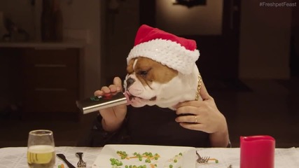 Смях.. ето как животните празнуват Коледа.