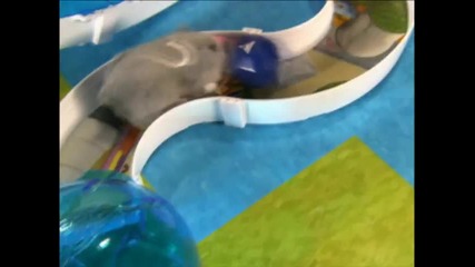 Reklama Zhu Zhu Pets