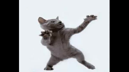 Хамстера Танцува На Котката - Яко Смях