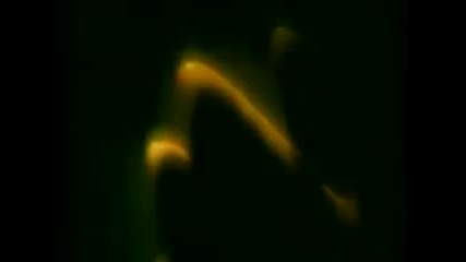 1996 Профайлър - Profiler