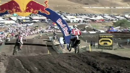 Mxon 2010 