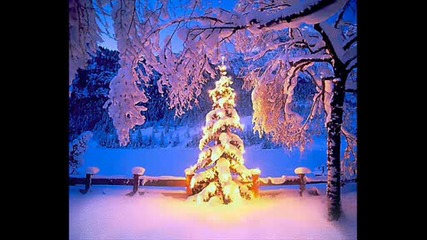 Merry Christmas And A Happy New Year