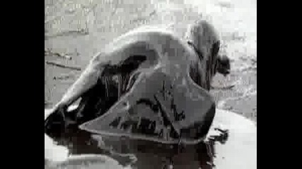 Linkin Park - What Ive Done