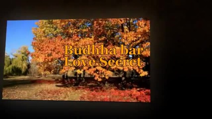 Budhha Bar -love Secret