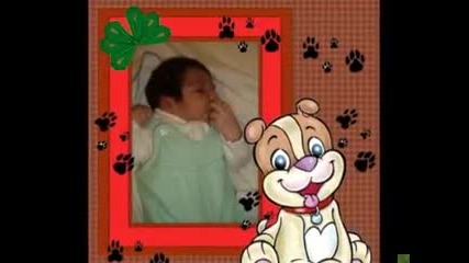 Bebo