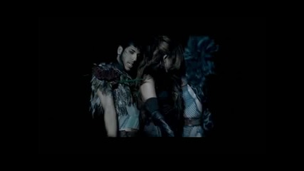 Miley Cyrus - Cant Be Tamed [official music video]