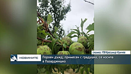 Пороен дъжд, примесен с градушка, се изсипа в Пазарджишко