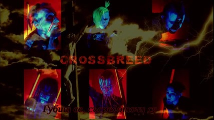 Crossbreed - Synthetic Division - Concentrate