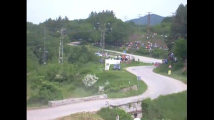 рали вида 2009