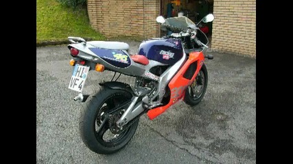 Motori
