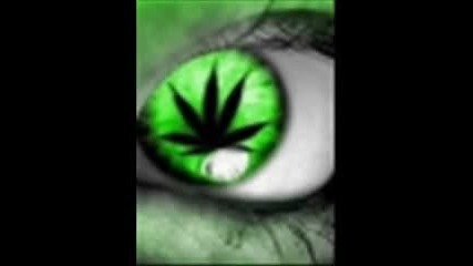 test fl studio