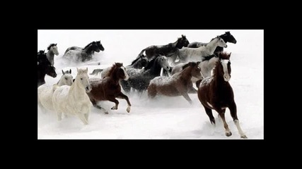 Daniel Kandi - # Тrancefamily ( Original Mix )