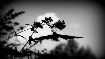 Aaron Und Pascal - Antani (original Mix)