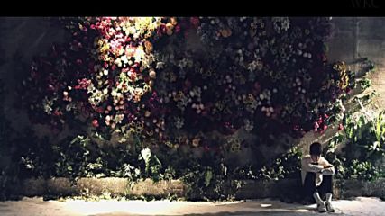 Bts (bangtan boys) - Crow Tit Mv