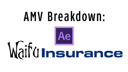 Amv Breakdown_ Waifu Insurance