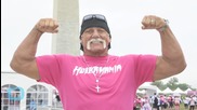 WWE, Hulk Hogan End Ties After Transcript of Racist Tirade Surfaces