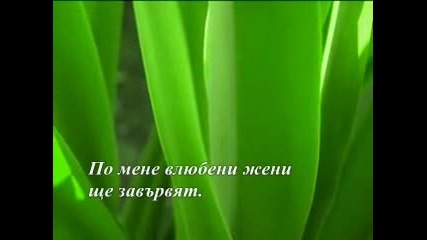 Павел Матев - Трева 