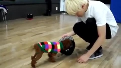 Yang Yoseob with puppy
