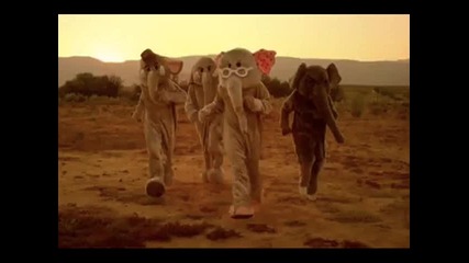 Coldplay - Paradise