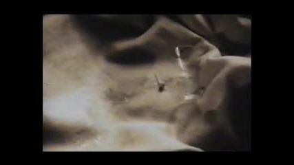 Look Whos Talking - Dr. Alban 
