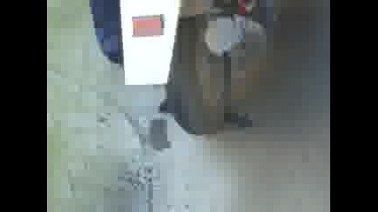 ludo suzuki lukovit :d:d 