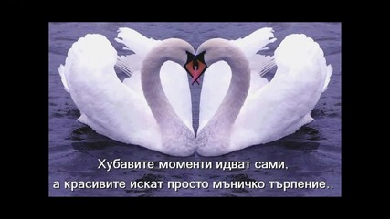 За живота и приятелите/tose Proeski - polsko cveke