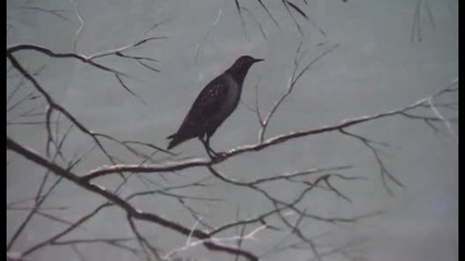 Питер Брьогел Стария (на английски език) - Филм от поредицата Great Artists 