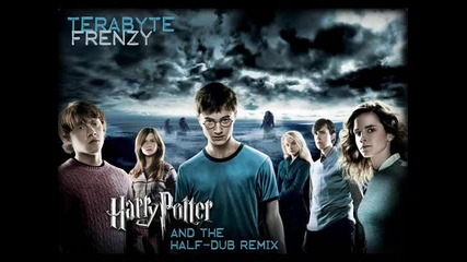 Harry Potter (dubstep Remix) 