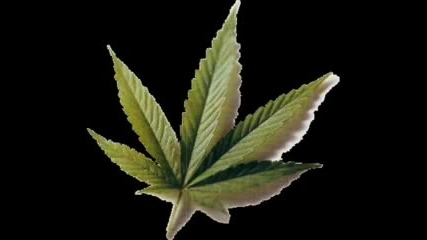 Kingsize - Puf - Paf 