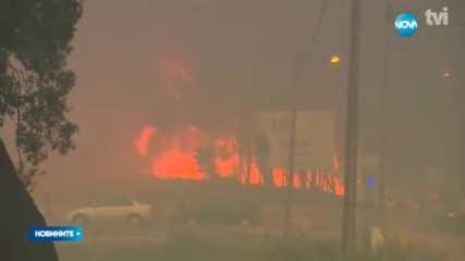 Горски пожари в Португалия взеха десетки жертви