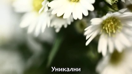 Някой трябваше да умре - ти или Аз