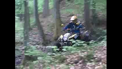 Bashan 2009.05.16