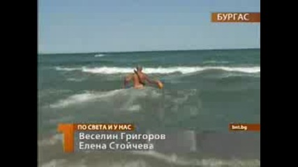 Българска национална телевизия - Новини - Общество - Мъртво вълнение 