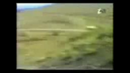 Kalk Azerbaycan 
